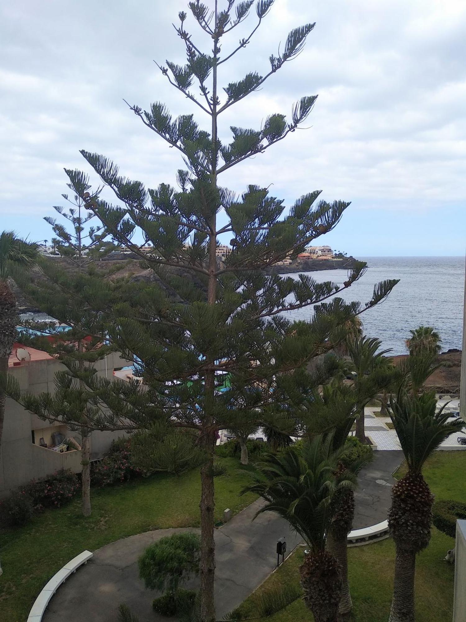 Garden View Apartment In Las Galletas Arona  Exterior photo